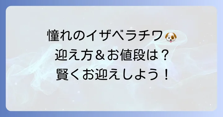 イザベラチワワ成犬をお迎えする方法と価格相場