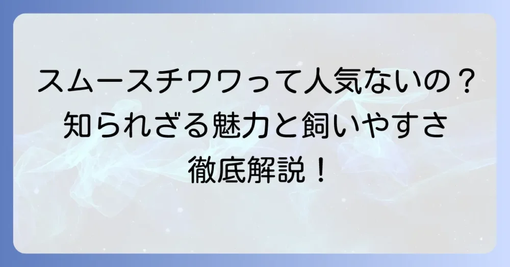 スムースチワワは人気がないって本当？知られざる魅力と飼いやすさを徹底解説！