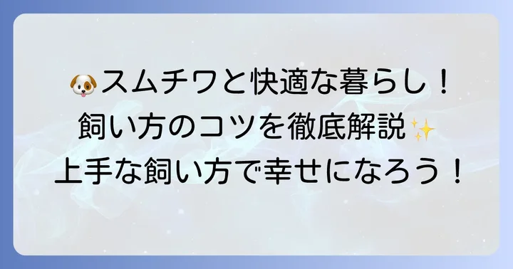 スムースチワワとの快適な暮らしのための飼い方のコツ