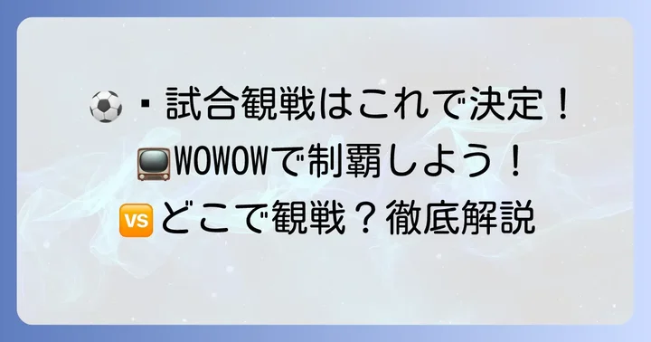 シーエル決勝を視聴する方法