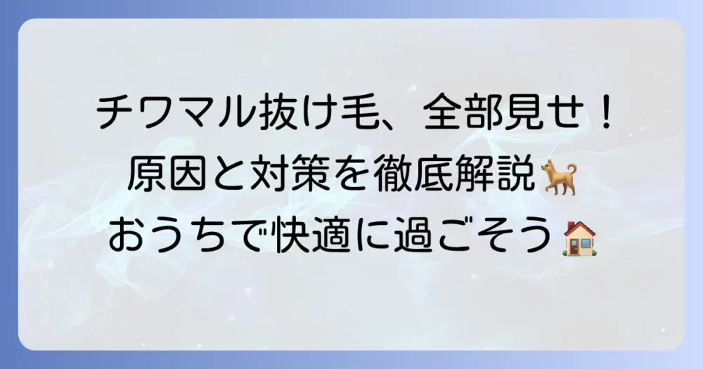 チワマルの抜け毛の全てがわかる！原因と効果的な対策、お手入れ方法を徹底解説
