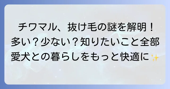 チワマルの抜け毛は多い？少ない？その特徴と理由