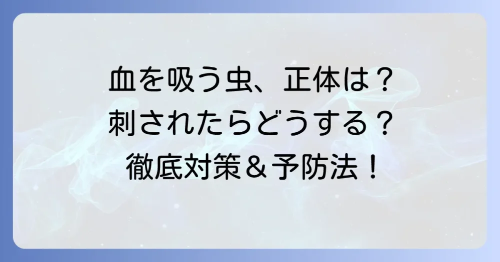 血を吸う黒い小さい虫の正体は？刺された時の対策と予防方法を徹底解説
