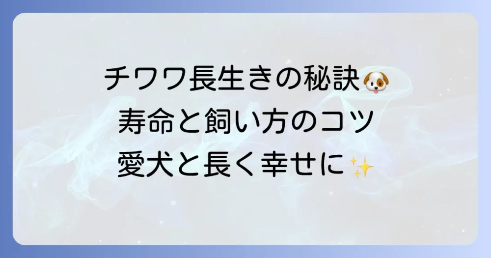 チワワの寿命と主な死因を徹底解説！長生きさせるための飼い方とコツ