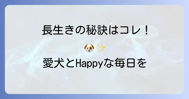 チワワの寿命を延ばすための飼い方とコツ