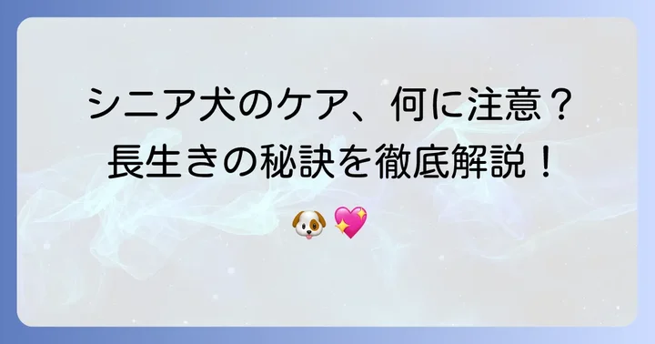 老犬チワワのケアで大切なこと