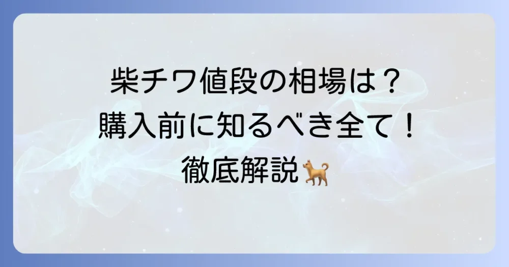 柴チワの値段相場と購入前に知るべき全てを徹底解説