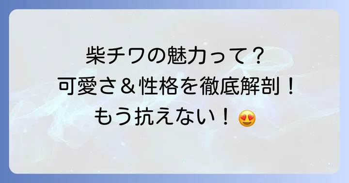 柴チワの魅力と特徴
