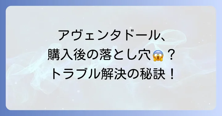 アヴェンタドール中古車購入後の注意点とトラブル解決法