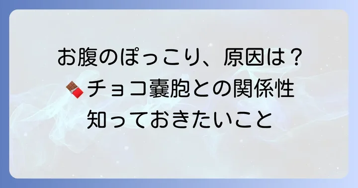 チョコレート嚢胞とは？お腹のぽっこりとの関係性