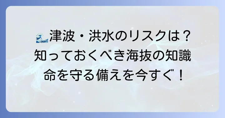 災害対策に不可欠な海抜情報！津波・洪水リスクを把握する