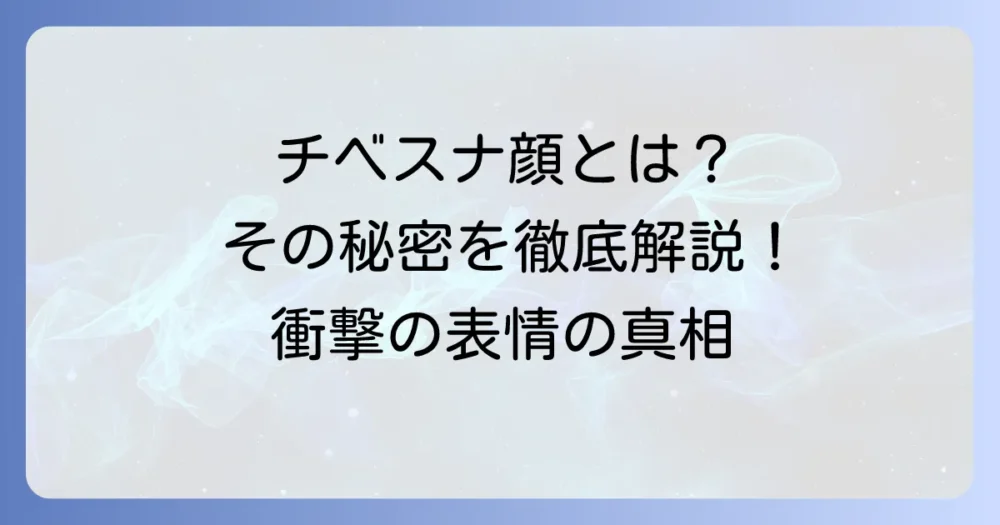 チベスナ顔とは？独特な表情の秘密と生態を徹底解説