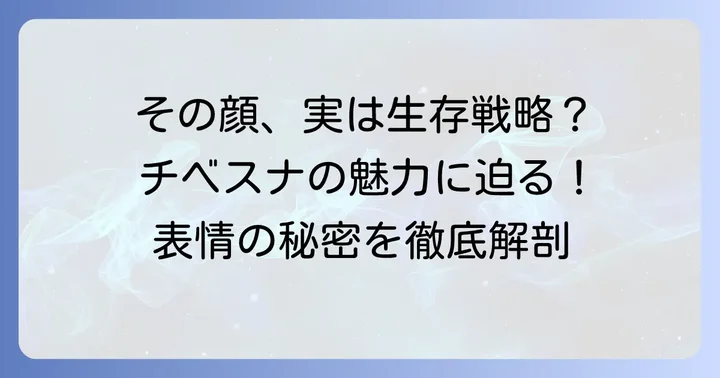 チベスナの顔が持つ独特な魅力とは