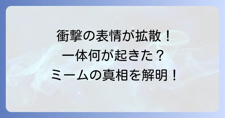 チベスナの顔がインターネットで話題になったきっかけ