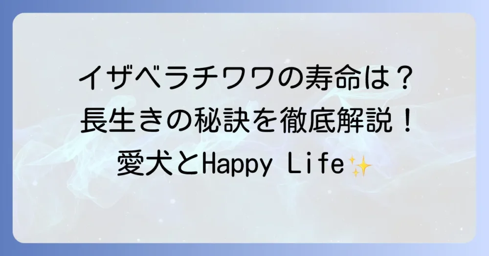 イザベラチワワの寿命は？長生きさせるための秘訣と健康管理
