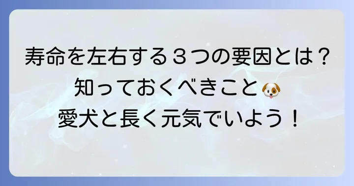 イザベラチワワの寿命に影響を与える主な要因