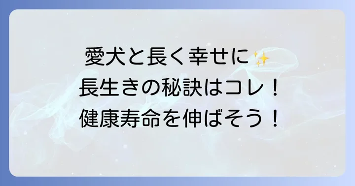 イザベラチワワに長生きしてもらうための具体的なコツ