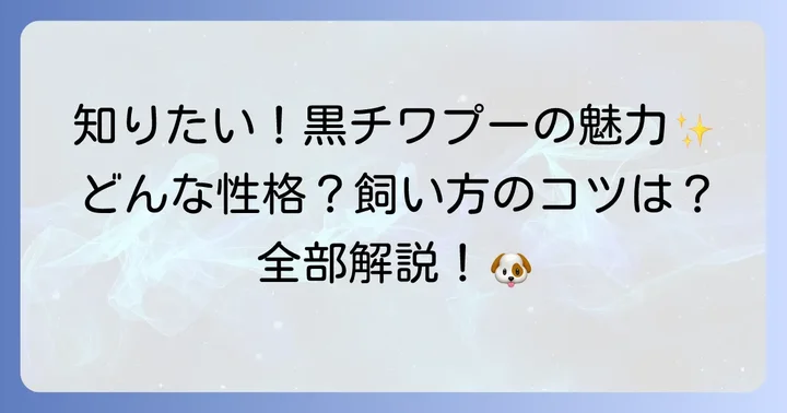 チワプー黒成犬の基本情報と個性
