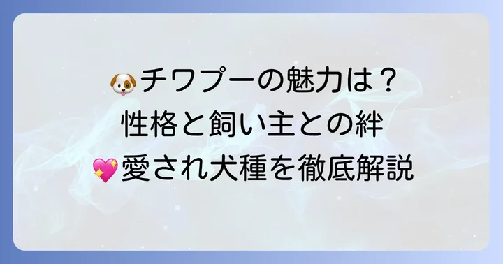 チワプー黒成犬の性格と飼い主との絆