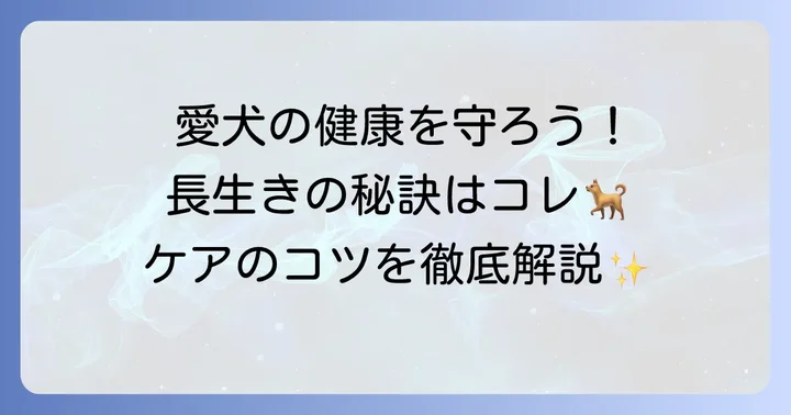チワプー黒成犬の健康と長寿のためのケア
