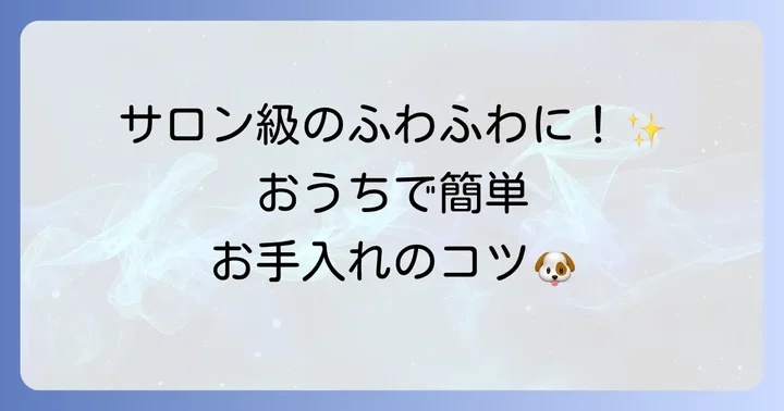自宅でできるペキプーのお手入れ方法