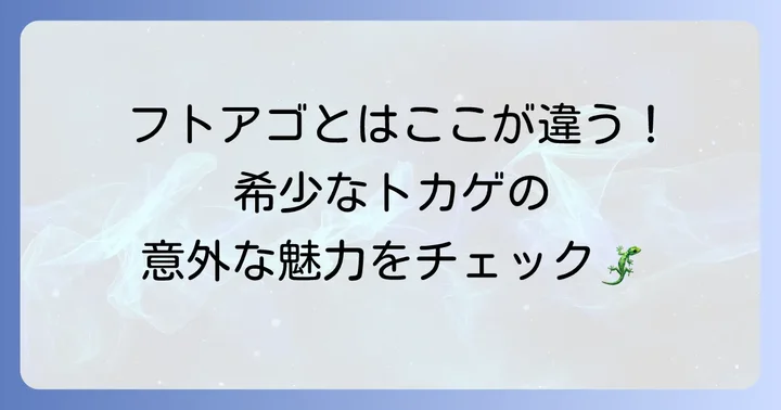ヒガシアゴヒゲトカゲとは？その魅力と基本情報