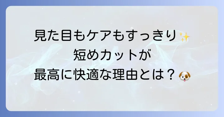 短めかっこいいトイプードルカットの魅力とは？