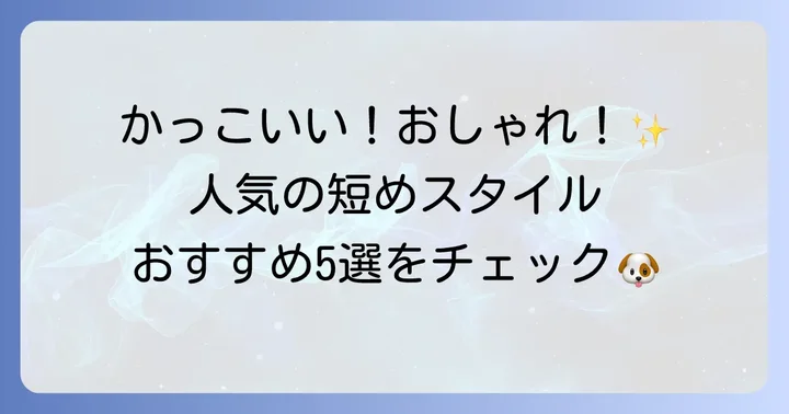 人気の短めかっこいいトイプードルカットスタイル集