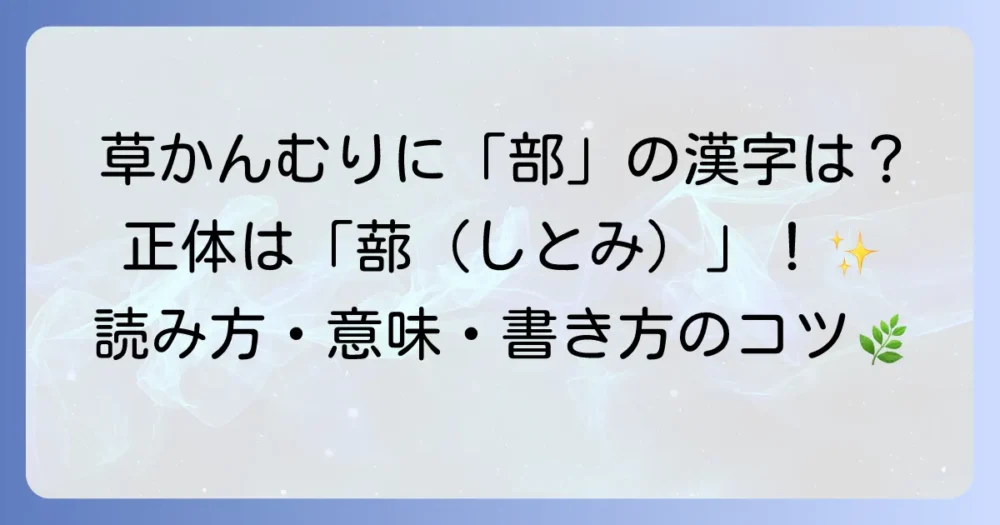 草かんむりに「部」で構成される漢字「蔀」を徹底解説！意味や読み方、書き方まで