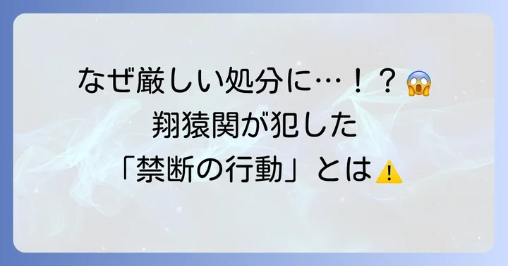 なぜ翔猿正也は処分されたのか？違反行為の経緯