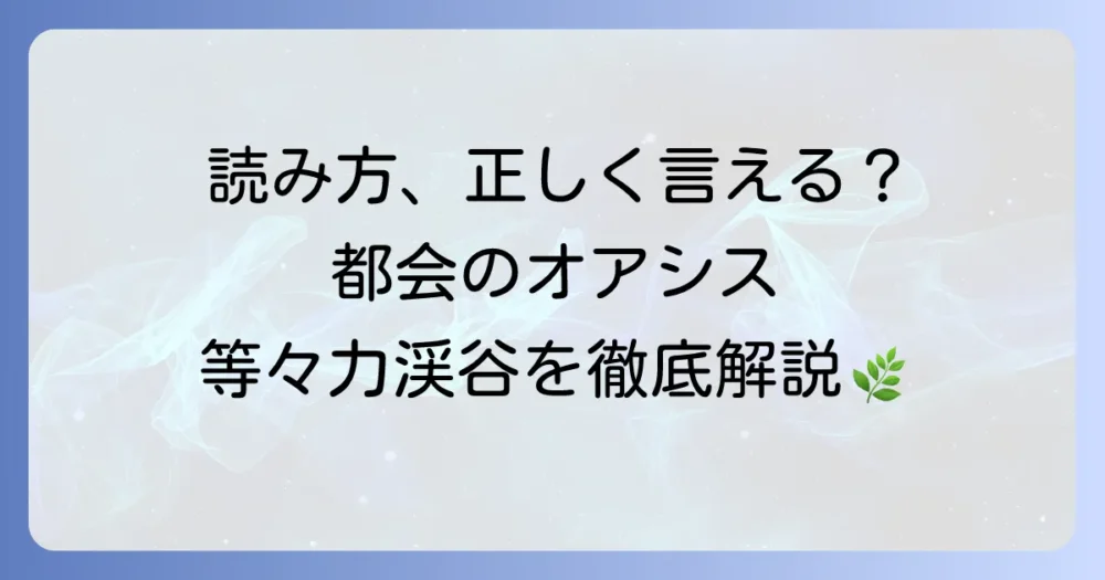 等々力渓谷の読み方を徹底解説！由来と都会のオアシスの魅力を深掘り