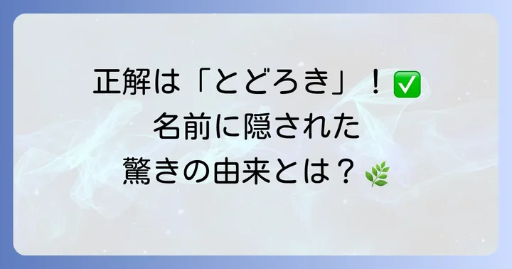 等々力渓谷の正しい読み方は「とどろきけいこく」