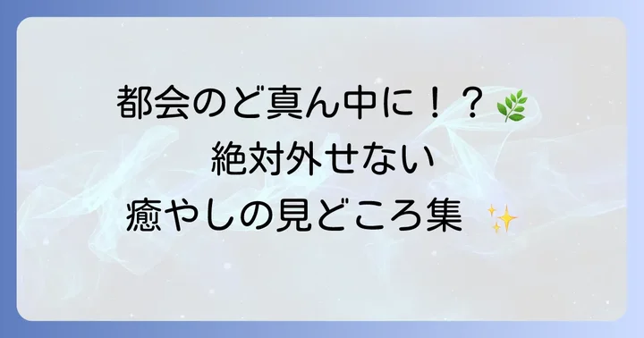 都心で自然を満喫！等々力渓谷の主な見どころ