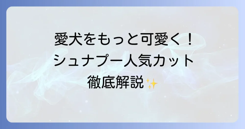 シュナプーカットの魅力と人気スタイルを徹底解説！頻度や料金、自宅ケアのコツも紹介