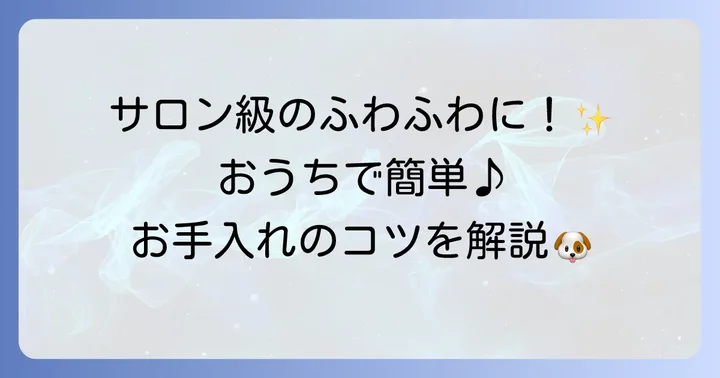 自宅でできるシュナプーのお手入れ方法とコツ