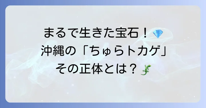 沖縄を代表する「ちゅらトカゲ」の種類と特徴
