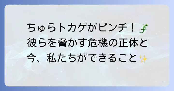 沖縄のトカゲを取り巻く環境と保全の重要性