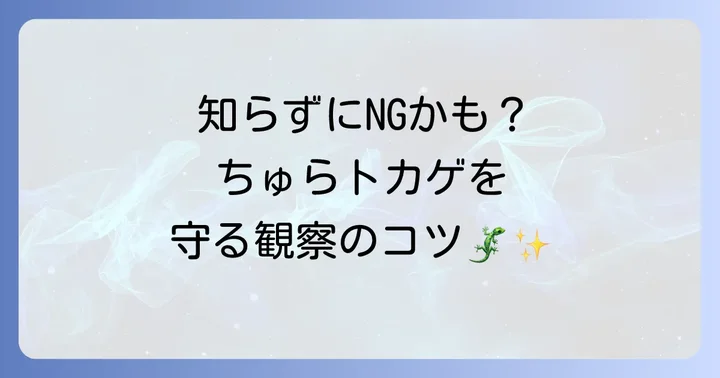 沖縄でトカゲを観察する際の注意点とマナー