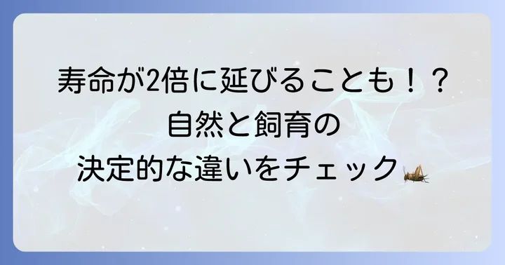 トノサマバッタの寿命はどれくらい？基本的な期間を解説