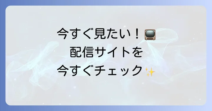 となりのMr.パーフェクトはどこで視聴できる？