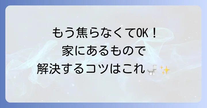 自分でできる！トイレットペーパー詰まりの解消法