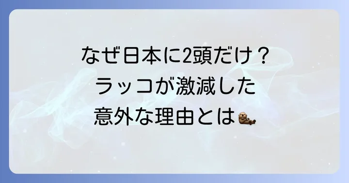 日本からラッコが減ってしまった理由と鳥羽水族館の取り組み