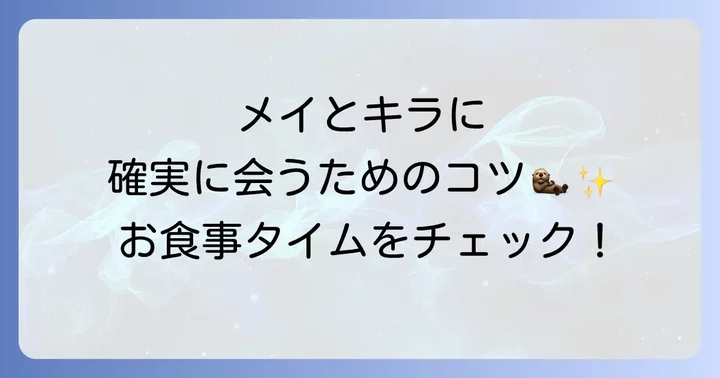 メイとキラに会うためのコツ：お食事タイムと観覧方法