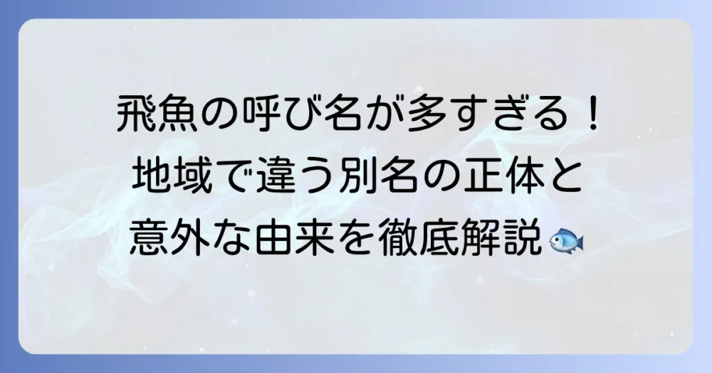 飛魚の別名を徹底解説！地域ごとの呼び名やその由来を深掘り