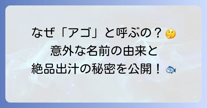 飛魚の代表的な別名「アゴ」の秘密