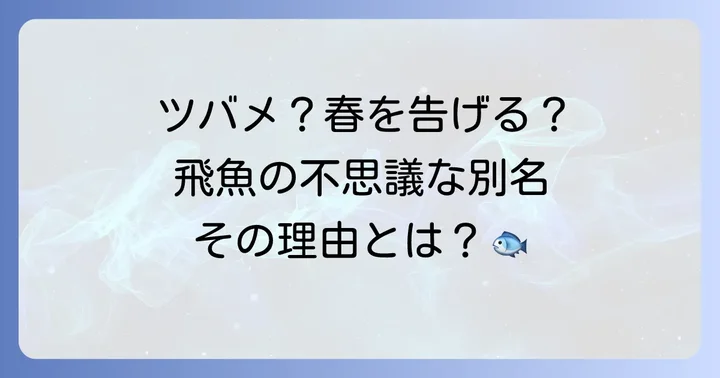 地域で異なる飛魚の別名とその背景