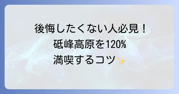 砥峰高原を快適に楽しむためのコツ