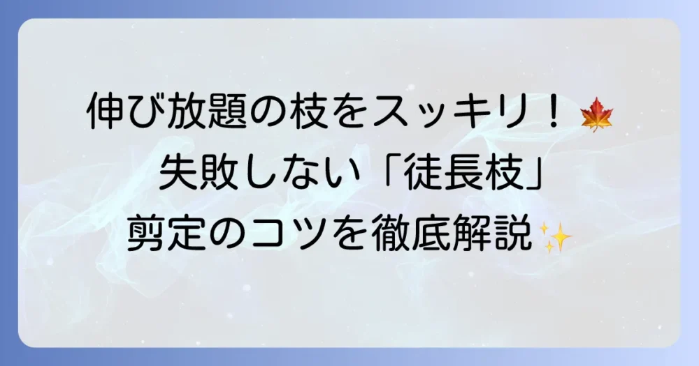 紅葉する木の徒長枝の剪定で失敗しない方法と美しい樹形を保つコツ