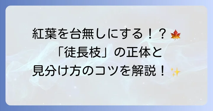 紅葉を台無しにする徒長枝とは？発生原因と見分け方