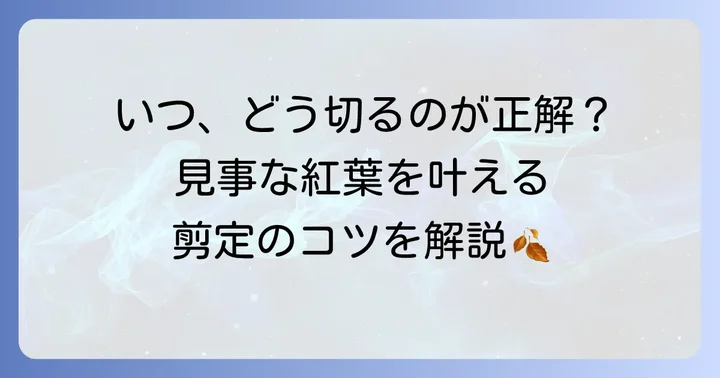 美しい紅葉を育む徒長枝剪定の最適な時期と進め方